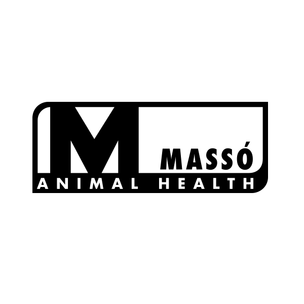 Massó