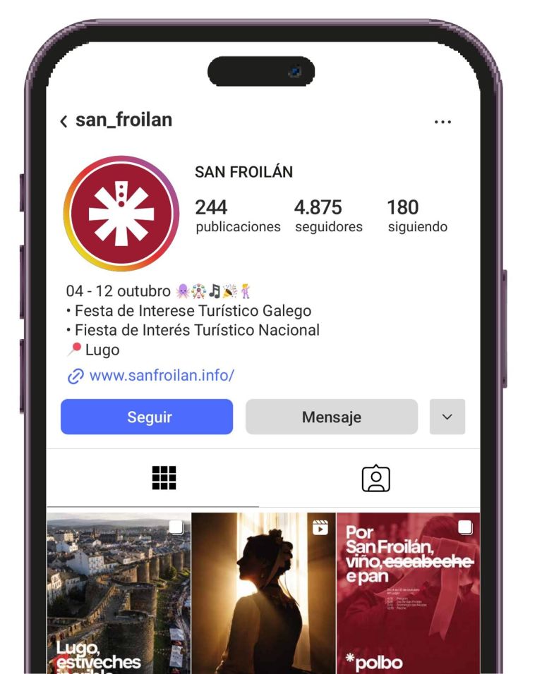 Perfil de Instagram del San Froilán