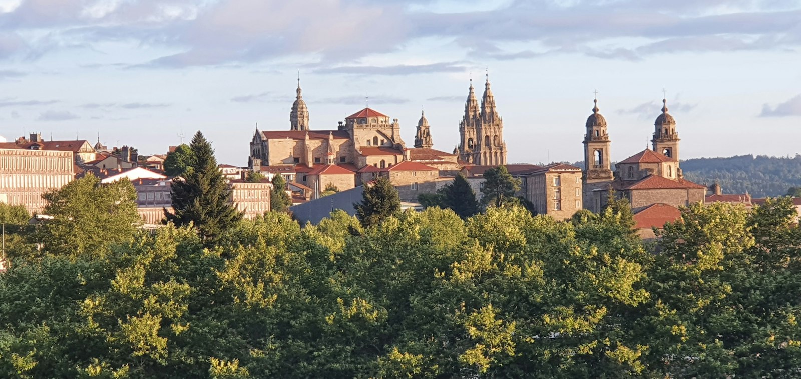 Vista de Santiago de Compostela con la catedral entre los árboles